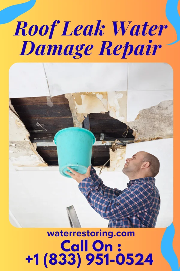 Roof Leak Water Damage Repair in Divernon, IL